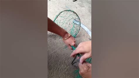 DIY SIGPAW (pansungkit ng mangga) .